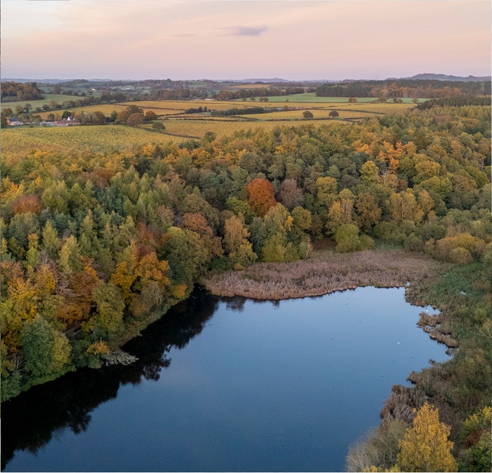 Aerial photo of a pool and woods